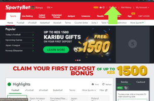 SportyBet How to deposit step 1